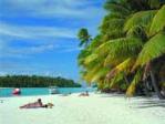 Paradise Found